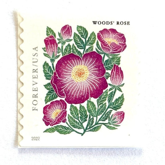 Image of 2022 Mountain Flora Series “Woods’ Rose” unused Forever USPS mail stamps. Scott #5674. Stamp Themes: Flowers, Wildflowers, Floral, Botanical, Alpine, Mountain Flora, Spring, Mountain Wedding, Rocky Mountains, Colorado, Wyoming, Montana, Utah, Idaho, and New Mexico. Pink, Green, Yellow, Multicolored postage stamp. Perfect postage stamp to use for save the date announcements, wedding invitation postage, shower invitations, thank you cards, birthday party invites, and snail mail.