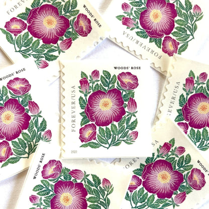 Image of 2022 Mountain Flora Series “Woods’ Rose” unused Forever USPS mail stamps. Scott #5674. Stamp Themes: Flowers, Wildflowers, Floral, Botanical, Alpine, Mountain Flora, Spring, Mountain Wedding, Rocky Mountains, Colorado, Wyoming, Montana, Utah, Idaho, and New Mexico. Pink, Green, Yellow, Multicolored postage stamp. Perfect postage stamp to use for save the date announcements, wedding invitation postage, shower invitations, thank you cards, birthday party invites, and snail mail.