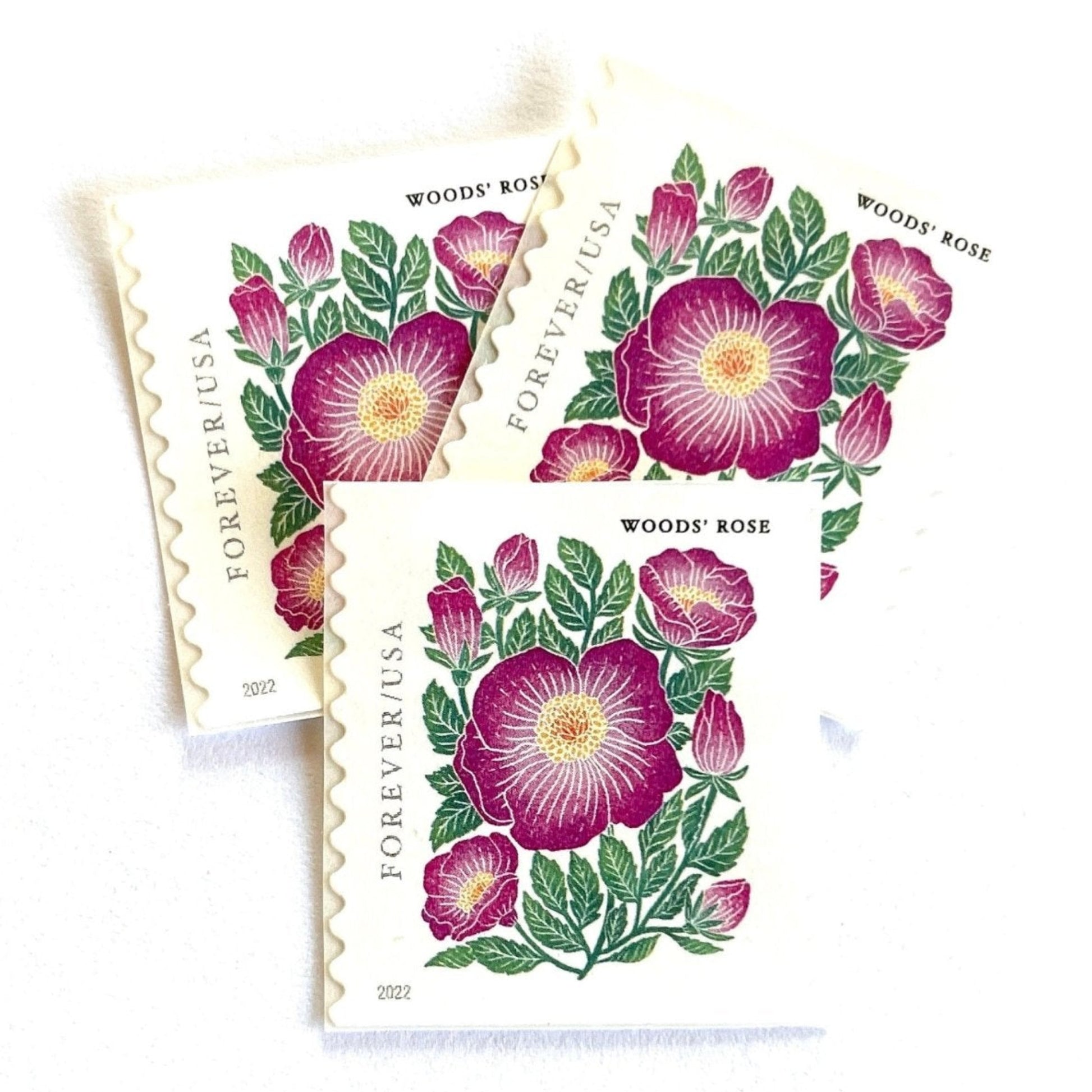 Image of 2022 Mountain Flora Series “Woods’ Rose” unused Forever USPS mail stamps. Scott #5674. Stamp Themes: Flowers, Wildflowers, Floral, Botanical, Alpine, Mountain Flora, Spring, Mountain Wedding, Rocky Mountains, Colorado, Wyoming, Montana, Utah, Idaho, and New Mexico. Pink, Green, Yellow, Multicolored postage stamp. Perfect postage stamp to use for save the date announcements, wedding invitation postage, shower invitations, thank you cards, birthday party invites, and snail mail.