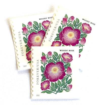 Image of 2022 Mountain Flora Series “Woods’ Rose” unused Forever USPS mail stamps. Scott #5674. Stamp Themes: Flowers, Wildflowers, Floral, Botanical, Alpine, Mountain Flora, Spring, Mountain Wedding, Rocky Mountains, Colorado, Wyoming, Montana, Utah, Idaho, and New Mexico. Pink, Green, Yellow, Multicolored postage stamp. Perfect postage stamp to use for save the date announcements, wedding invitation postage, shower invitations, thank you cards, birthday party invites, and snail mail.