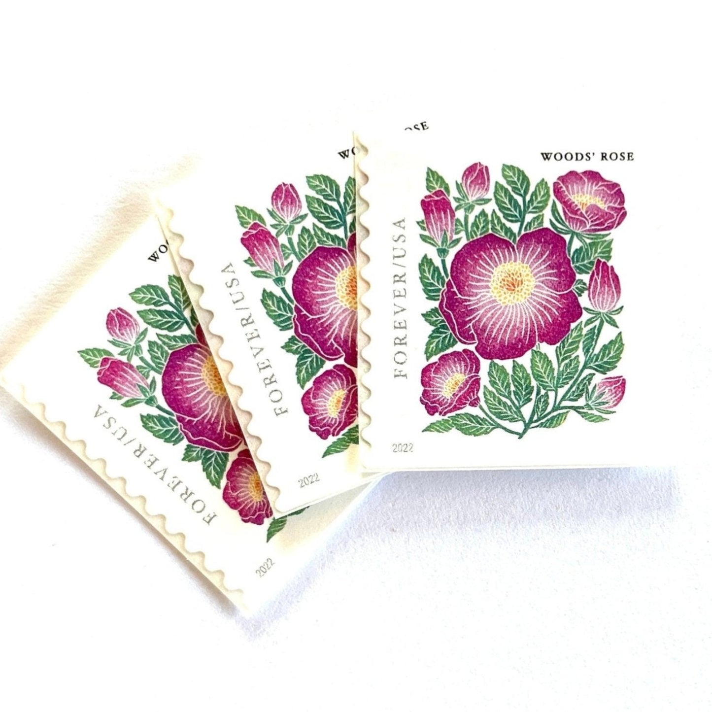 Image of 2022 Mountain Flora Series “Woods’ Rose” unused Forever USPS mail stamps. Scott #5674. Stamp Themes: Flowers, Wildflowers, Floral, Botanical, Alpine, Mountain Flora, Spring, Mountain Wedding, Rocky Mountains, Colorado, Wyoming, Montana, Utah, Idaho, and New Mexico. Pink, Green, Yellow, Multicolored postage stamp. Perfect postage stamp to use for save the date announcements, wedding invitation postage, shower invitations, thank you cards, birthday party invites, and snail mail.