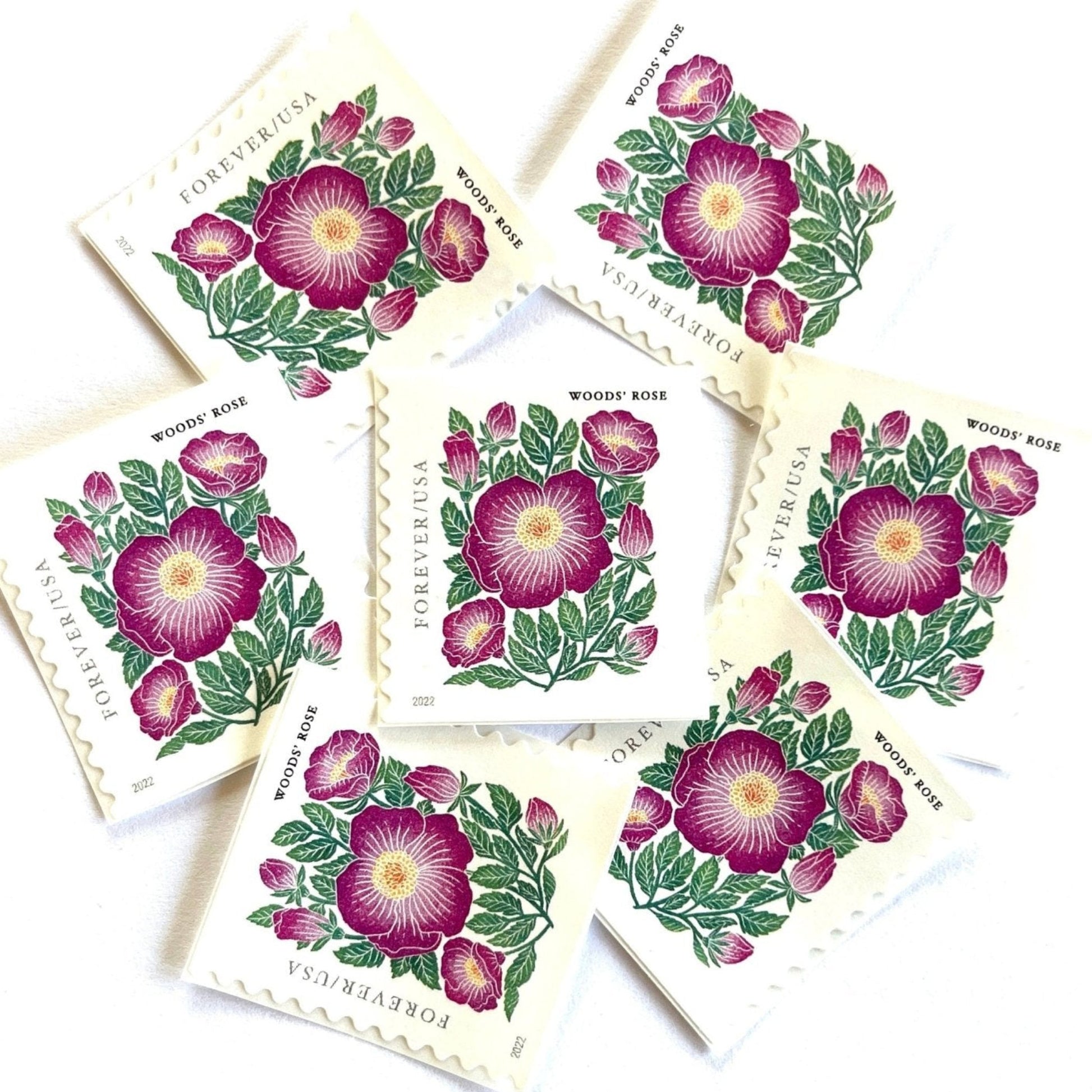 Image of 2022 Mountain Flora Series “Woods’ Rose” unused Forever USPS mail stamps. Scott #5674. Stamp Themes: Flowers, Wildflowers, Floral, Botanical, Alpine, Mountain Flora, Spring, Mountain Wedding, Rocky Mountains, Colorado, Wyoming, Montana, Utah, Idaho, and New Mexico. Pink, Green, Yellow, Multicolored postage stamp. Perfect postage stamp to use for save the date announcements, wedding invitation postage, shower invitations, thank you cards, birthday party invites, and snail mail.