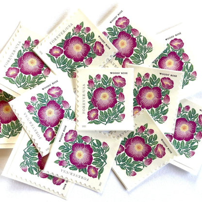 Image of 2022 Mountain Flora Series “Woods’ Rose” unused Forever USPS mail stamps. Scott #5674. Stamp Themes: Flowers, Wildflowers, Floral, Botanical, Alpine, Mountain Flora, Spring, Mountain Wedding, Rocky Mountains, Colorado, Wyoming, Montana, Utah, Idaho, and New Mexico. Pink, Green, Yellow, Multicolored postage stamp. Perfect postage stamp to use for save the date announcements, wedding invitation postage, shower invitations, thank you cards, birthday party invites, and snail mail.