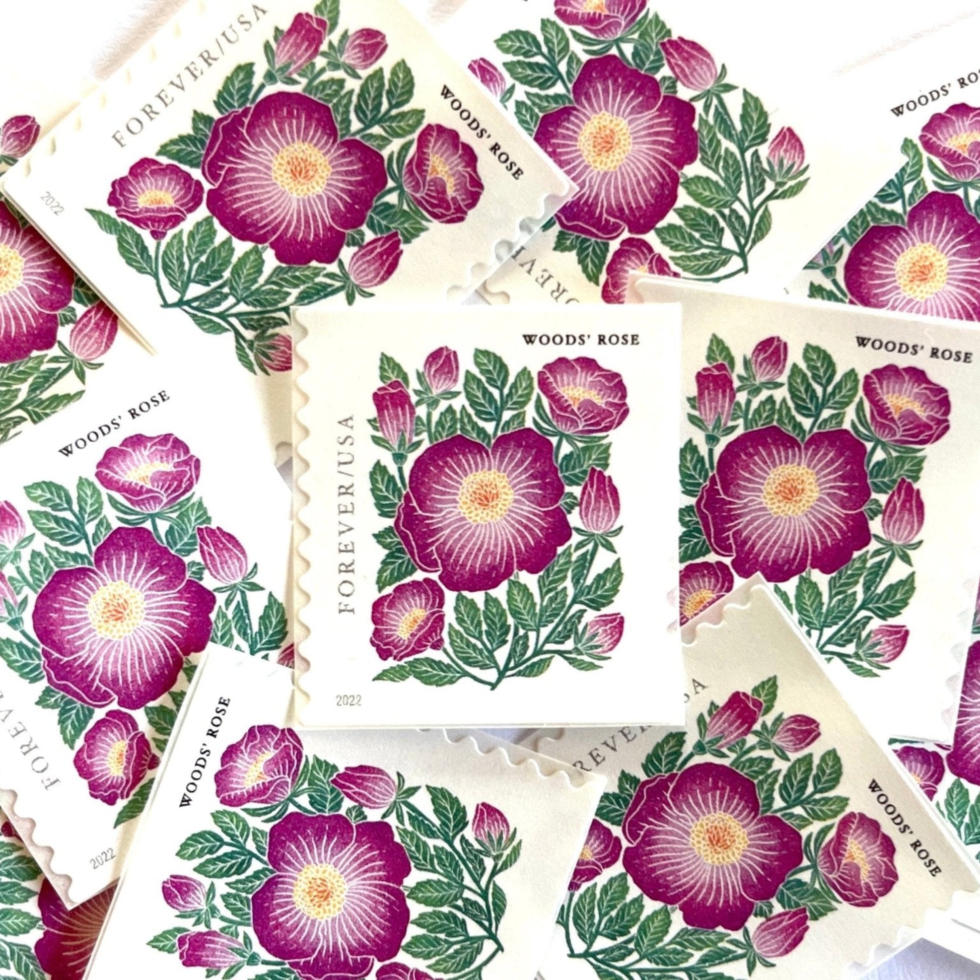 Image of 2022 Mountain Flora Series “Woods’ Rose” unused Forever USPS mail stamps. Scott #5674. Stamp Themes: Flowers, Wildflowers, Floral, Botanical, Alpine, Mountain Flora, Spring, Mountain Wedding, Rocky Mountains, Colorado, Wyoming, Montana, Utah, Idaho, and New Mexico. Pink, Green, Yellow, Multicolored postage stamp. Perfect postage stamp to use for save the date announcements, wedding invitation postage, shower invitations, thank you cards, birthday party invites, and snail mail.