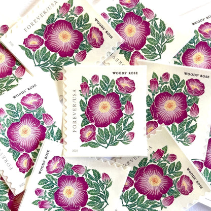 Image of 2022 Mountain Flora Series “Woods’ Rose” unused Forever USPS mail stamps. Scott #5674. Stamp Themes: Flowers, Wildflowers, Floral, Botanical, Alpine, Mountain Flora, Spring, Mountain Wedding, Rocky Mountains, Colorado, Wyoming, Montana, Utah, Idaho, and New Mexico. Pink, Green, Yellow, Multicolored postage stamp. Perfect postage stamp to use for save the date announcements, wedding invitation postage, shower invitations, thank you cards, birthday party invites, and snail mail.