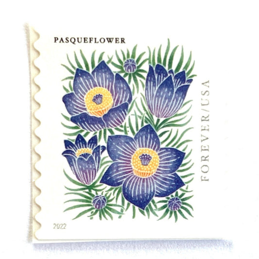 Image of 2022 Mountain Flora Series “Pasqueflower” unused Forever USPS mail stamps. Scott #5675. Stamp Themes: Flowers, Wildflowers, Floral, Botanical, Alpine, Mountain Flora, Spring, Easter, Prairie Crocus, Mountain Wedding, Rocky Mountains, Cascade Mountains, Alaska, Colorado. Purple, Blue, Yellow, Green, Multicolored postage stamp. Perfect vintage postage stamp to use for save the date announcements, wedding invitation postage, shower invitations, thank you cards, birthday party invites, and snail mail.