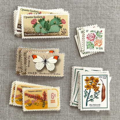Vintage desert postage stamp set featuring Medallion Rose, Beavertail Cactus, Paloverde, Orange-Tip Butterfly, and Ocotillo unused U.S. stamps for Southwest wedding invitations and save-the-dates.