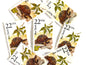 Box Turtle Stamps (North American Wildlife Series, Reptile, Multicolored) Vintage Unused USPS Postage 22c