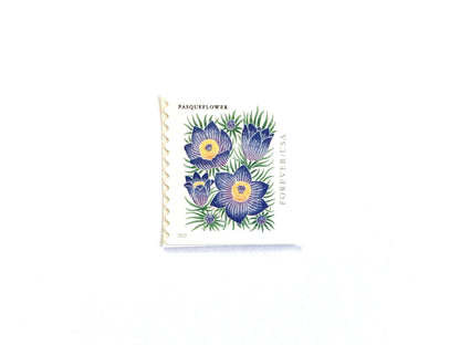 Mountain Flora Pasqueflower Stamps (Purple Flower, Love, Floral, Wedding) Classic Unused USPS Postage Forever Stamp