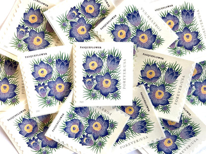 Mountain Flora Pasqueflower Stamps (Purple Flower, Love, Floral, Wedding) Classic Unused USPS Postage Forever Stamp