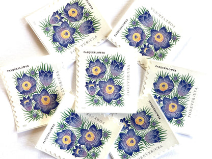 Mountain Flora Pasqueflower Stamps (Purple Flower, Love, Floral, Wedding) Classic Unused USPS Postage Forever Stamp