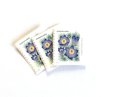 Mountain Flora Pasqueflower Stamps (Purple Flower, Love, Floral, Wedding) Classic Unused USPS Postage Forever Stamp