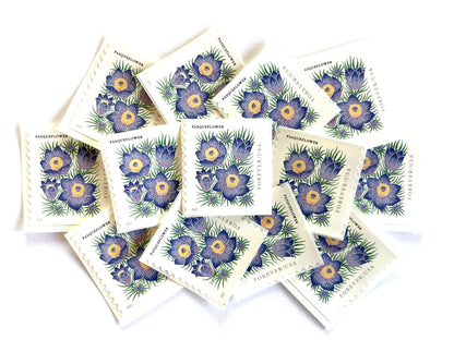 Mountain Flora Pasqueflower Stamps (Purple Flower, Love, Floral, Wedding) Classic Unused USPS Postage Forever Stamp