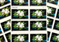 Vintage Unused White Magnolia Stamps (Martin Johnson Heade American Treasures Painting) USPS Postage 37c