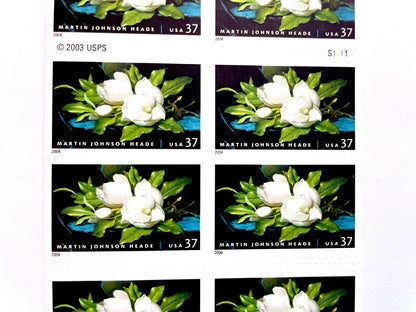 Vintage Unused White Magnolia Stamps (Martin Johnson Heade American Treasures Painting) USPS Postage 37c