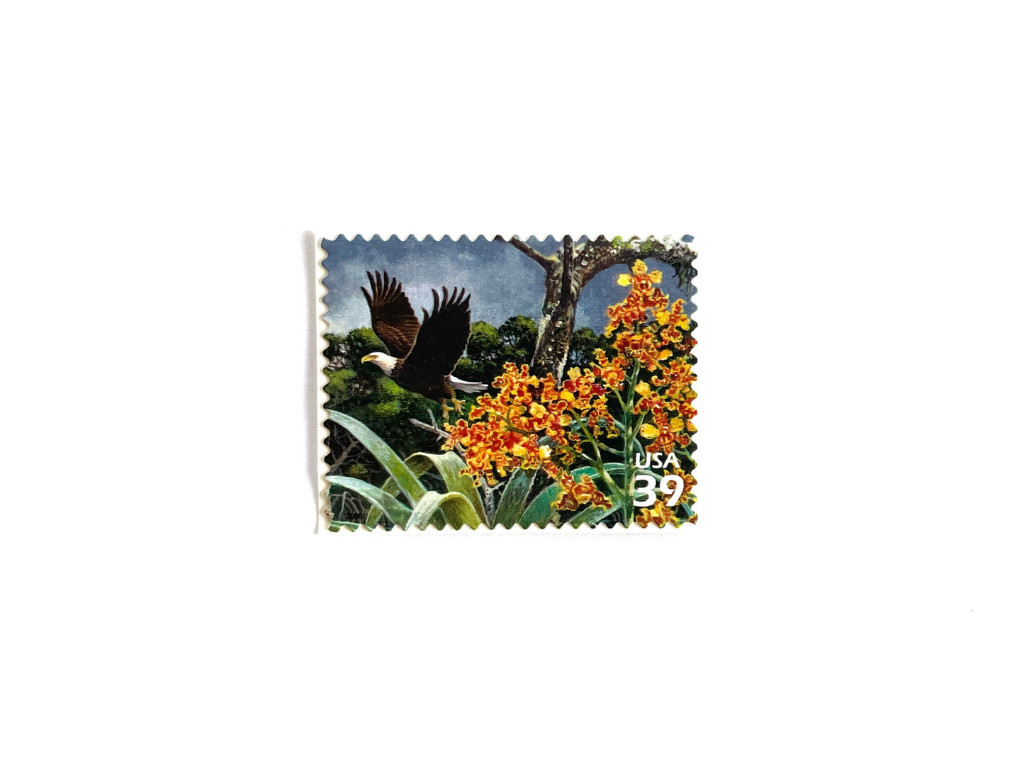 Southern Florida Wetland Bald Eagle Stamps (Nature of America Series, Birds, Wetlands) Vintage Unused USPS Postage 39c