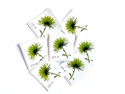 Chrysanthemum Stamps (Beautiful Blooms, Flowers, Bridal, Green) Vintage Unused USPS Postage 41c