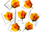 Tulip Stamps (Beautiful Blooms Series, Flowers, Bridal, Yellow) Vintage Unused USPS Postage 41c