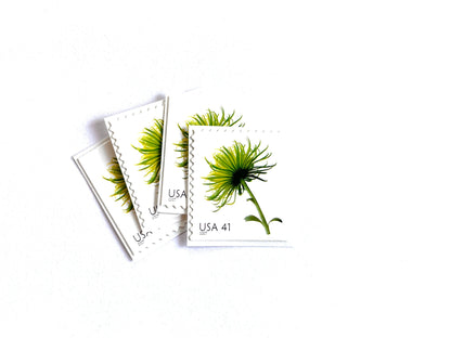 Chrysanthemum Stamps (Beautiful Blooms, Flowers, Bridal, Green) Vintage Unused USPS Postage 41c