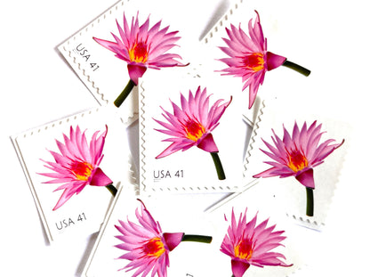 Pink Water Lily Stamps (Beautiful Blooms Series, Flowers, Bridal, Pink) Vintage Unused USPS Postage 41c
