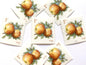 Unused Apples Stamps (Pippin Apple, Fruit) USPS Postage 1c - Heritage Post House