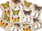 Vintage Set of 4 Unused Butterflies Stamps (Swallowtail, Checkerspot, Dogface, Orange - Tip, Butterfly, Se - tenant) USPS Postage 13c ea/52c per set - Heritage Post House