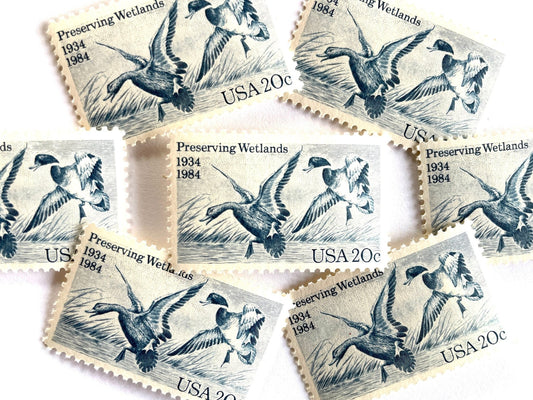 Vintage Unused Preserving Wetlands Stamps (Mallard Duck, Birds, Waterfowl, Preservation, Hunting, Blue) USPS Postage 20c - Heritage Post House