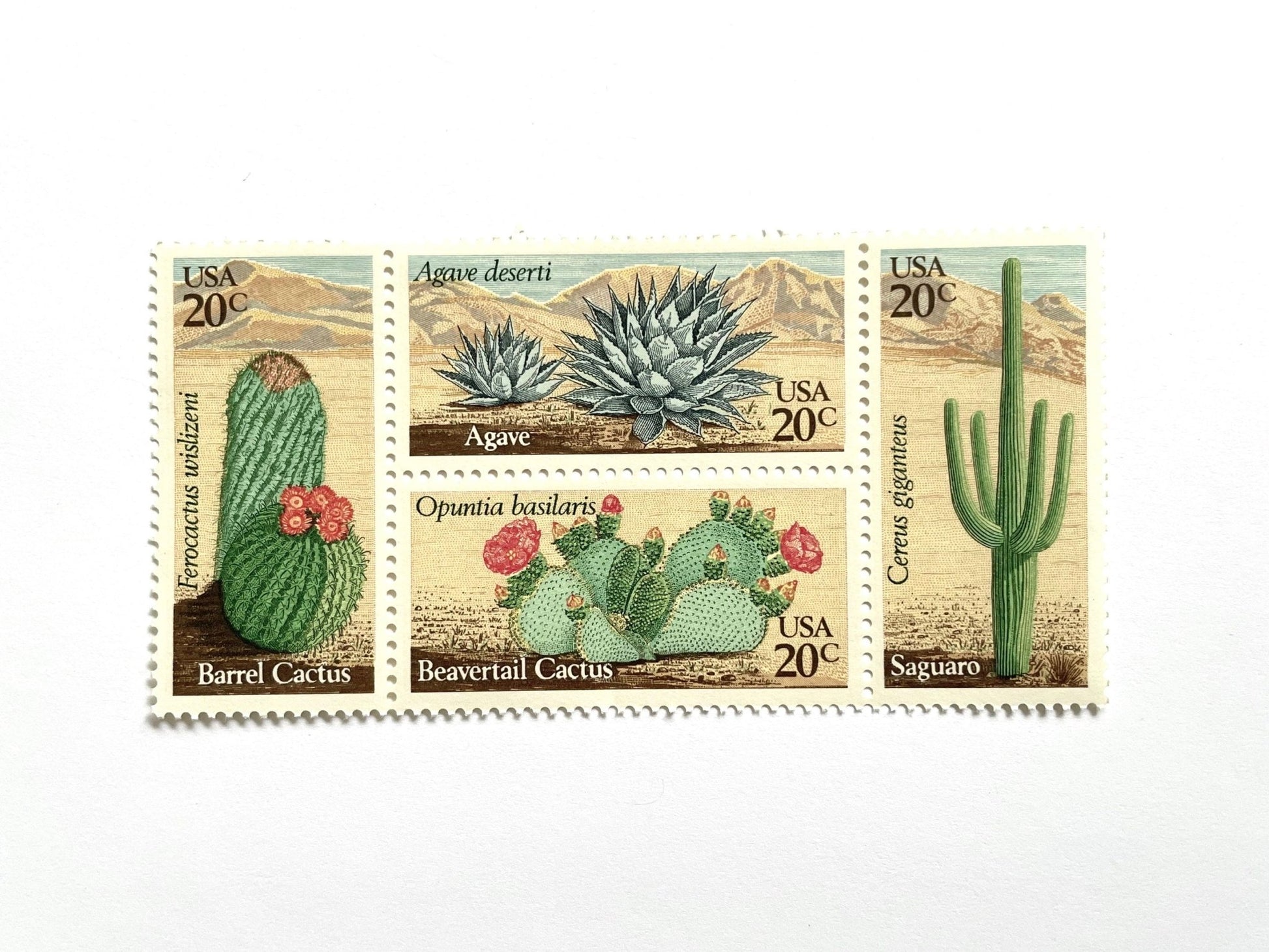 succulent stamps usps Set of 4 Desert Plants Stamps (Cactus , Se-tenant) Vintage Unused USPS – Heritage Post House