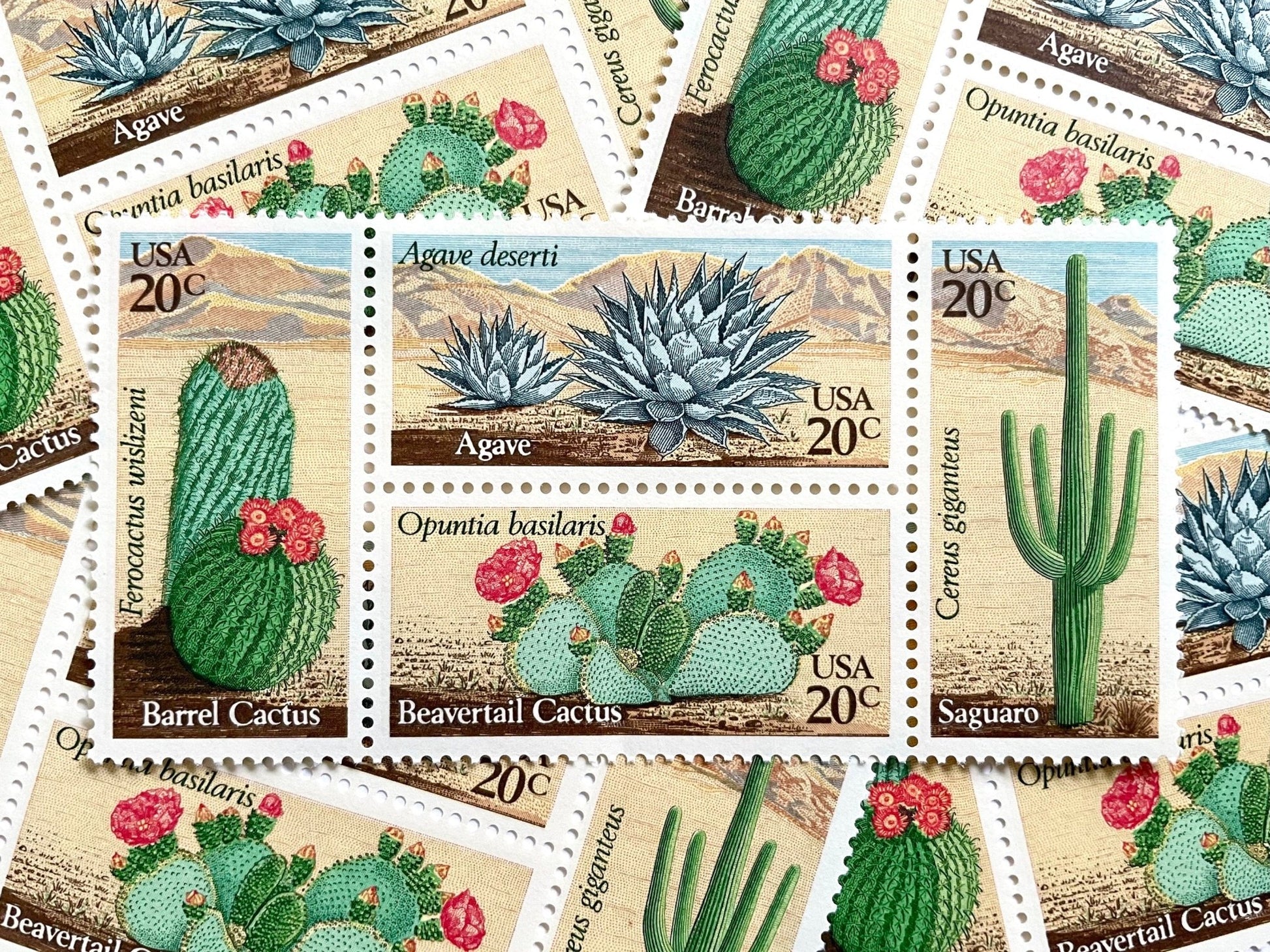 succulent stamp usps Set of 4 Desert Plants Stamps (Cactus , Se-tenant) Vintage Unused USPS Postage 20c ea./80c per set